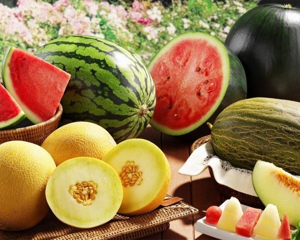 Российские ученые собираются выращивать арбузы и дыни в Арктике